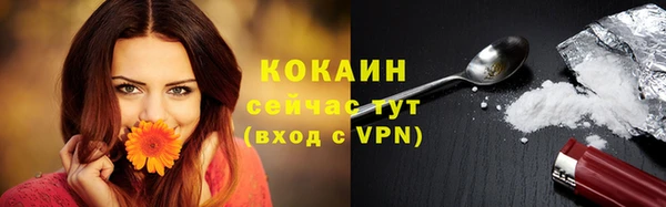 крисы Волоколамск